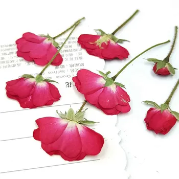 2021 Legújabb Kínai Rózsa Szára Példányok Igazi Szárított Virágok, Gyertyák 1 lot/100 Db Ingyenes Szállítás